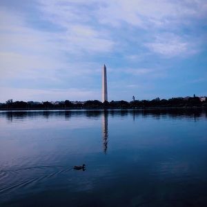 Meet your Posher, Lillie